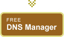 DNS Manager